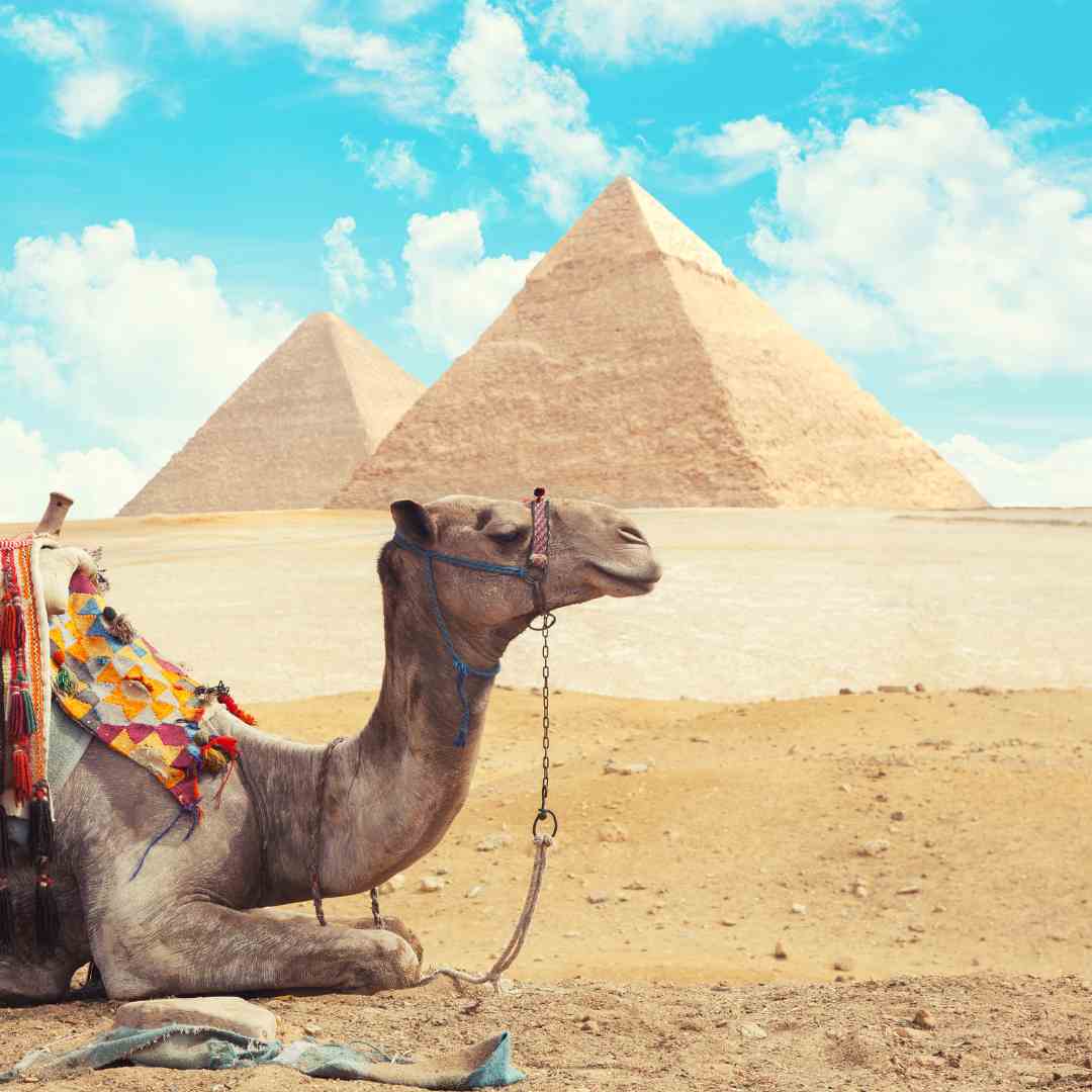 Egypt's The Comprehensive Guide Significance