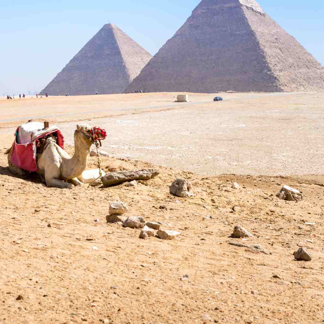 family trip to Giza