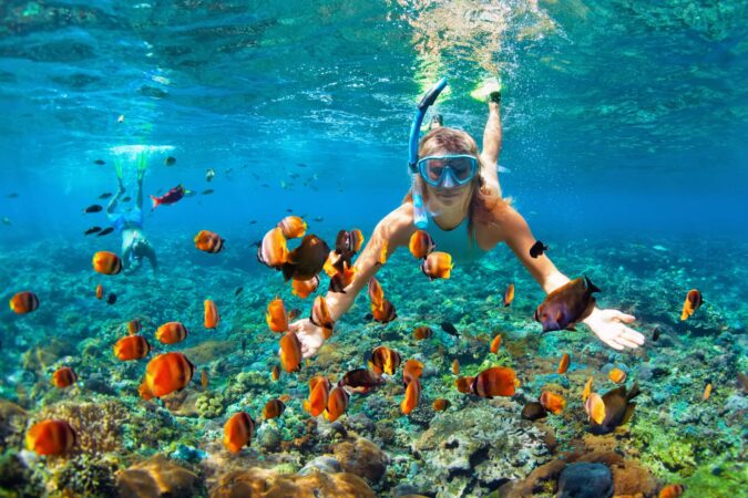 Snorkeling scaled x