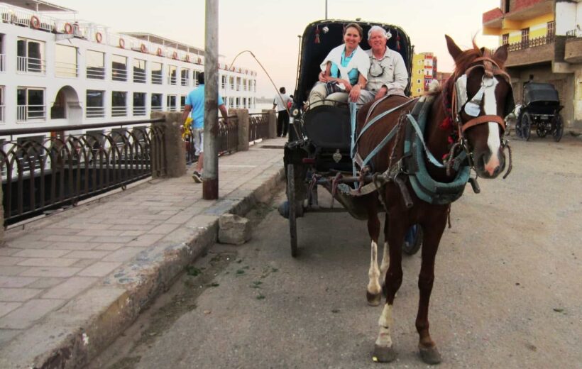 Visita de la ciudad de Asuán en coche de caballos - ADT010
