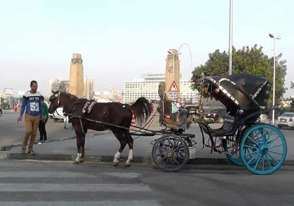 Aswan City Tour in Horse Carriage