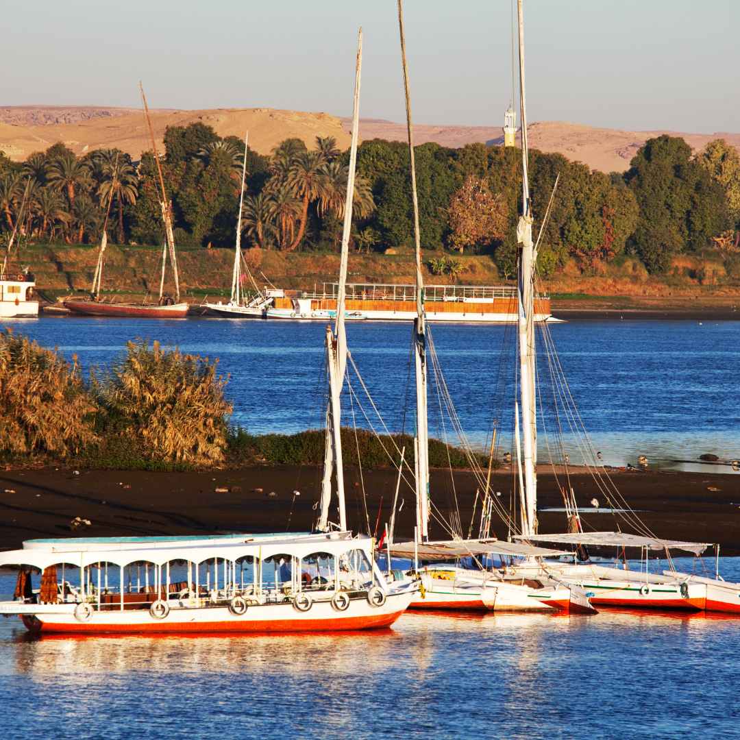 Embark on a breathtaking journey through time and culture with a comprehensive Cairo Luxor Aswan tour! This iconic trip will take you from the bustling