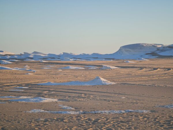 Overnight White Desert Safari Camping from Cairo x