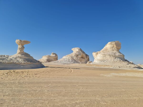 Overnight White Desert Safari Camping from Cairo x