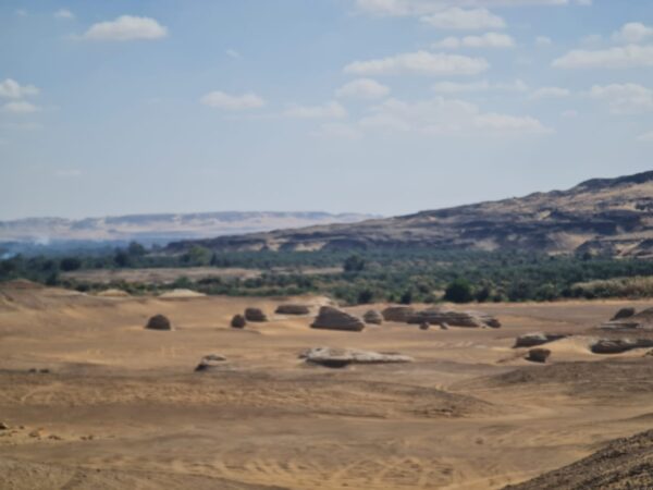 Overnight White Desert Safari Camping from Cairo x