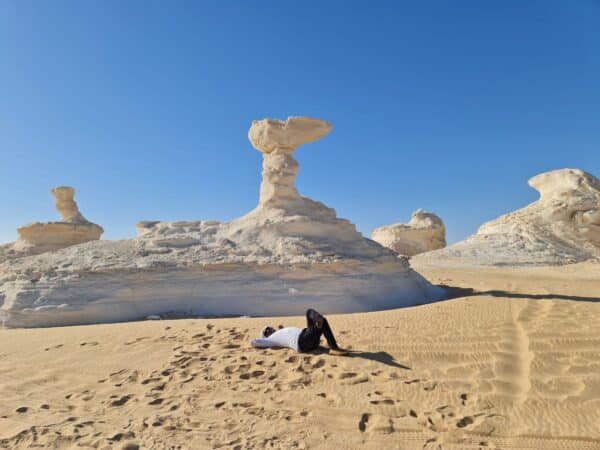 Overnight White Desert Safari Camping from Cairo x