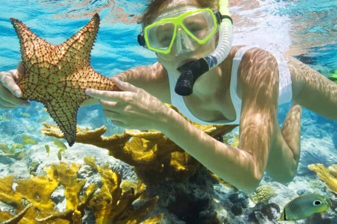 Snorkeling by Boat to Ras Mohamed x