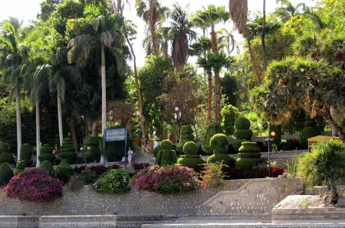 The Botanic Gardens and Botanical Museum 