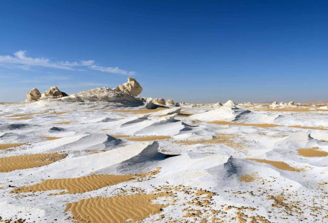 White Desert  x