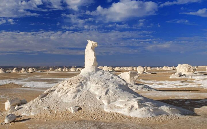 White Desert  x