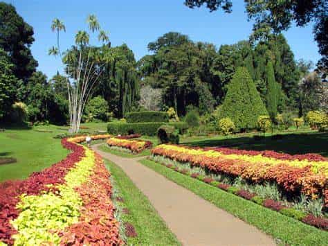 Private day tour to The Botanic Gardens